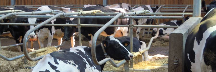 Accueil - Construisez votre projet